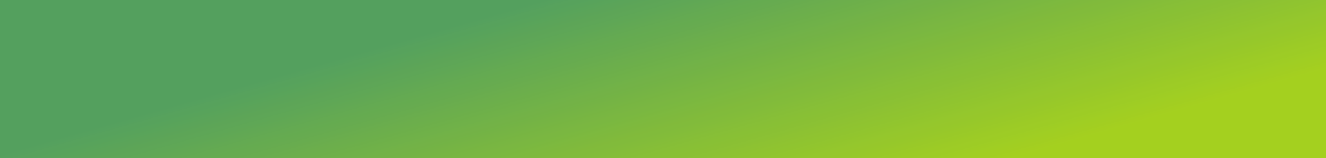Internet Marketing 